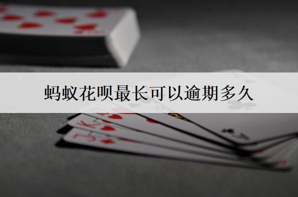 螞蟻花唄最長可以逾期多久？螞蟻花唄逾期時間解析
