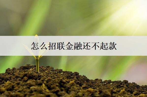 怎么招聯(lián)金融還不起款？詳細(xì)原因分析