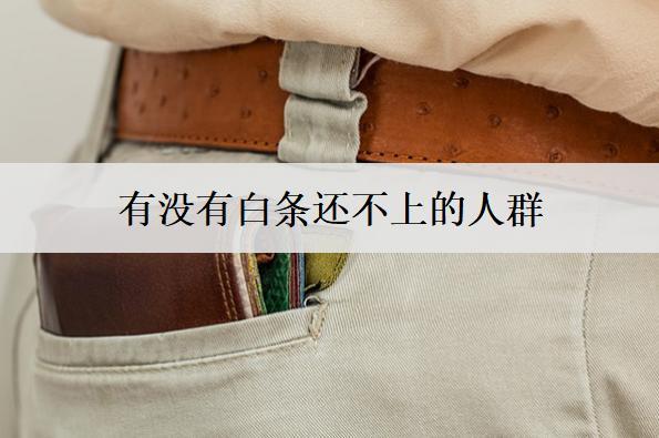 有沒有白條還不上的人群？