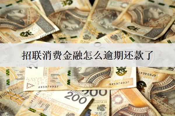 招聯(lián)消費(fèi)金融怎么逾期還款了，逾期原因分析