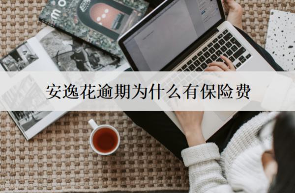 安逸花逾期為什么有保險(xiǎn)費(fèi)？和這個(gè)4個(gè)因素有關(guān)