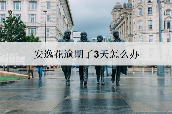 安逸花逾期了3天怎么辦？有這些解決辦法