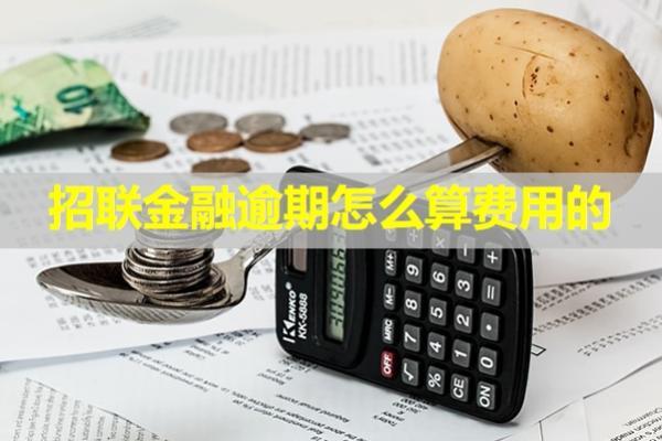招聯(lián)金融逾期怎么算費(fèi)用的？詳細(xì)解析