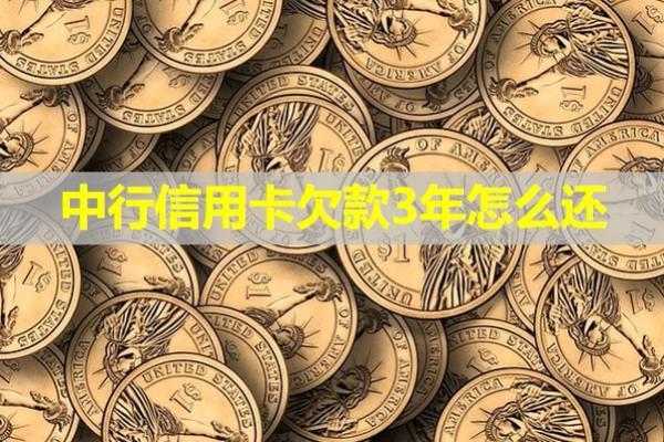 中行信用卡欠款3年怎么還？詳細(xì)計(jì)劃