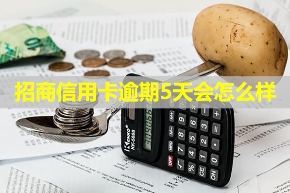 招商信用卡逾期5天會怎么樣？從三方面分析后果