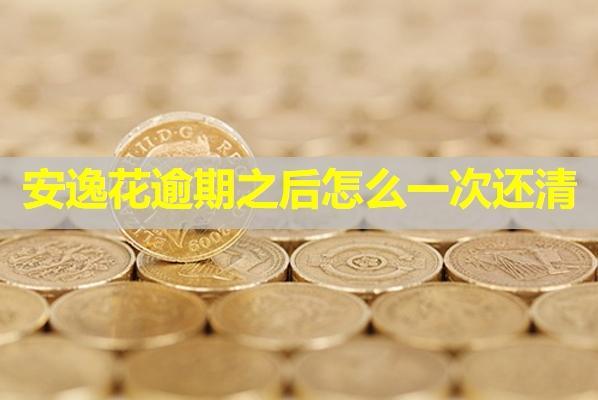 安逸花逾期之后怎么一次還清？教你兩種方式搞定