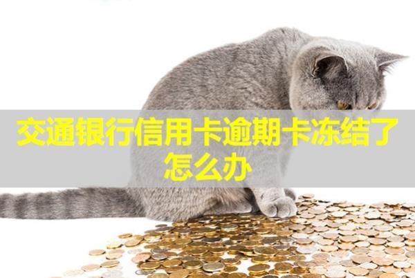 交通銀行信用卡逾期卡凍結(jié)了怎么辦？