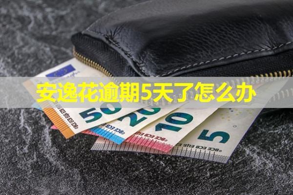 安逸花逾期5天了怎么辦？