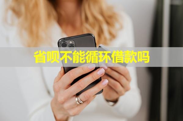省唄不能循環(huán)借款嗎？再次使用還有審核嗎？