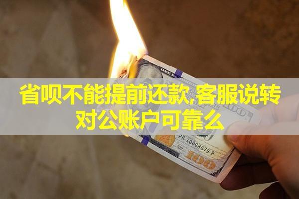 省唄不能提前還款，工作人員說轉(zhuǎn)對(duì)公賬戶可靠么？
