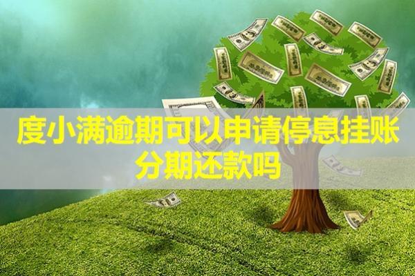 度小滿逾期可以申請停息掛賬分期還款嗎？詳細步驟解析