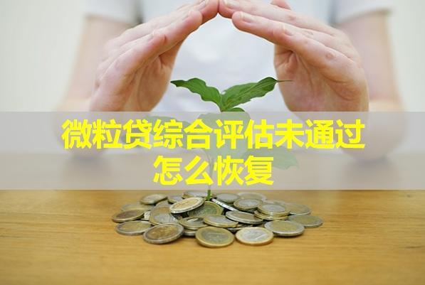 微粒貸綜合評(píng)估未通過怎么恢復(fù)？全面解析