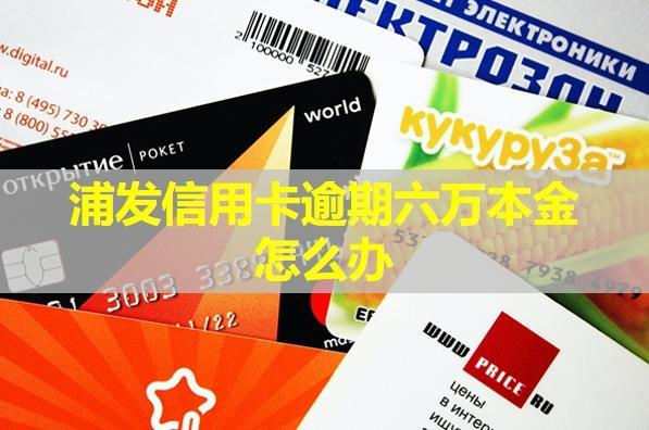 浦發(fā)信用卡逾期六萬本金怎么辦？