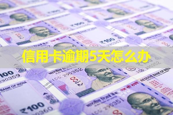 信用卡逾期5天怎么辦？會(huì)帶來(lái)哪些影響？