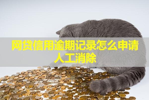 網(wǎng)貸信用逾期記錄怎么申請人工消除？
