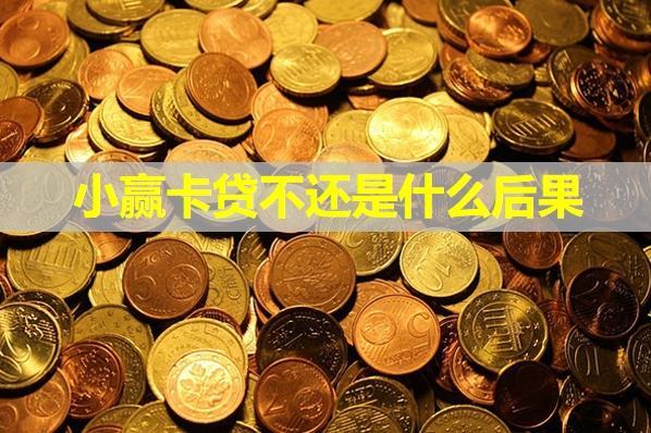 小贏卡貸不還是什么后果？還不上怎么辦？