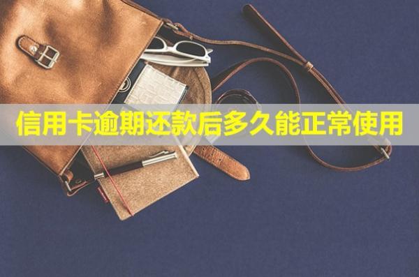信用卡逾期還款后多久能正常使用？利息和違約金能免嗎？