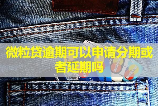 微粒貸逾期可以申請分期或者延期嗎？協(xié)商后還不上會怎樣？
