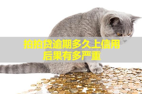 拍拍貸逾期多久上信用？后果有多嚴(yán)重？