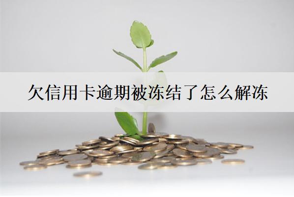欠信用卡逾期被凍結(jié)了怎么解凍？4個(gè)解凍方法