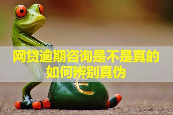 網(wǎng)貸逾期咨詢是不是真的？如何辨別真?zhèn)危?>
                                        </a>



                                    </div>
                                    <div   id=