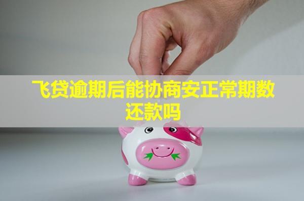 飛貸逾期后能協(xié)商安正常期數(shù)還款嗎？后果怎么樣？
