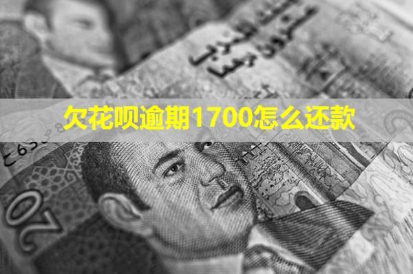 欠花唄逾期1700