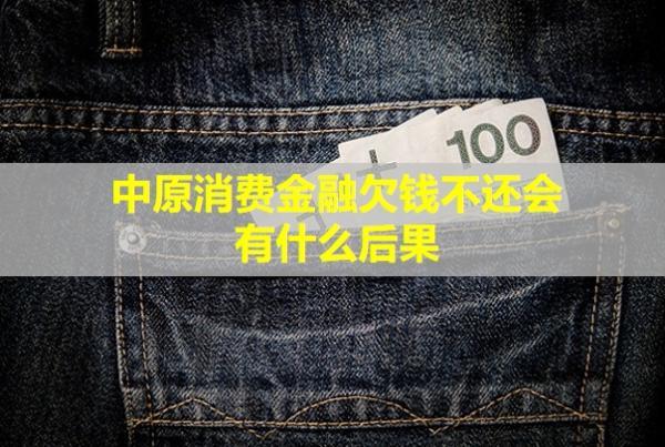 中原消費(fèi)金融欠錢不還會(huì)有什么后果？欠錢不還怎么辦？