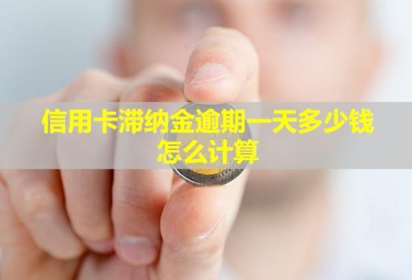 信用卡滯納金逾期一天多少錢？怎么計算？