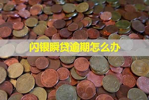 閃銀瞬貸逾期怎么辦？這三個辦法你可以試試