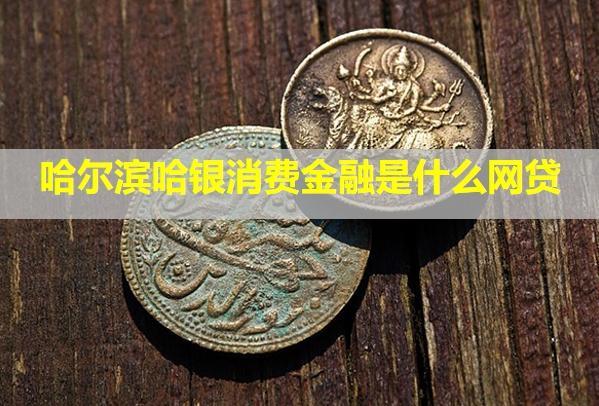 哈爾濱哈銀消費(fèi)金融是什么網(wǎng)貸？逾期幾天上信用？