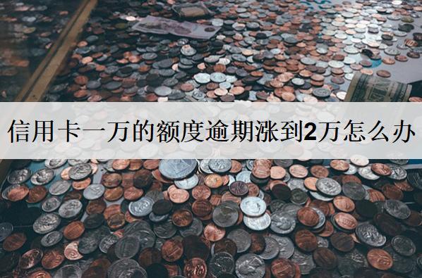 信用卡一萬(wàn)的額度逾期漲到2萬(wàn)怎么辦？會(huì)怎樣？