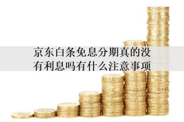 京東白條免息分期真的沒有利息嗎有什么注意事項？