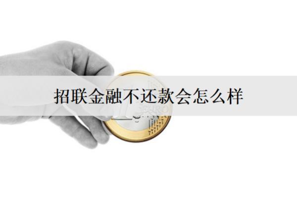 招聯(lián)金融不還款會怎么樣？后果及應(yīng)對方法