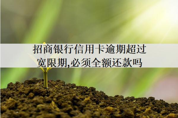 招商銀行信用卡逾期超過寬限期,必須全額還款嗎