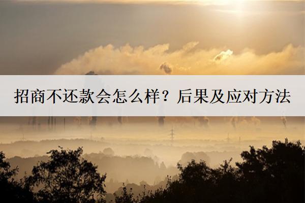 招商不還款會怎么樣？后果及應(yīng)對方法