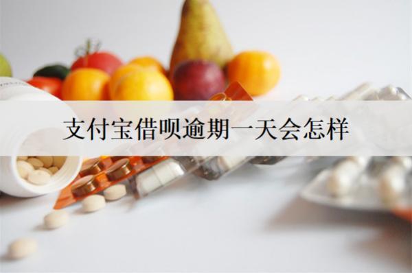 支付寶借唄逾期一天會怎樣？后果及解決方法