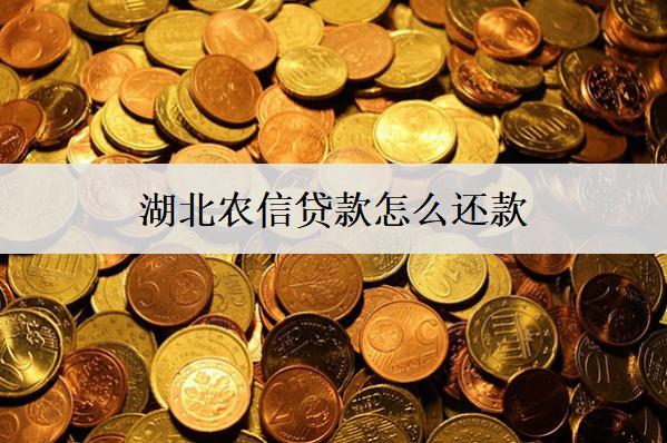 湖北農(nóng)信貸款怎么還款？