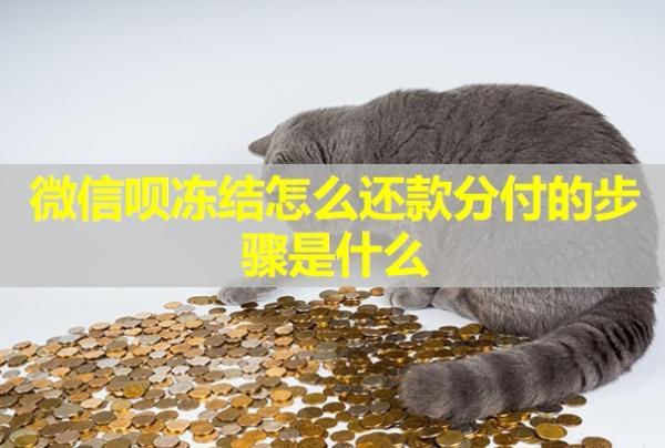 微信唄凍結(jié)怎么還款分付的步驟是什么？怎么快速解除？