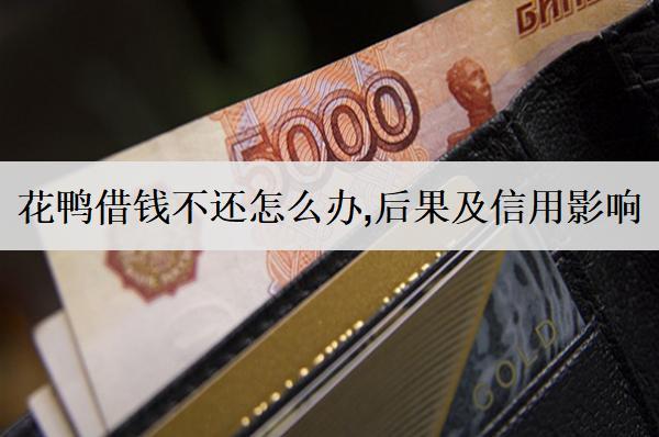 花鴨借錢不還怎么辦,后果及信用影響