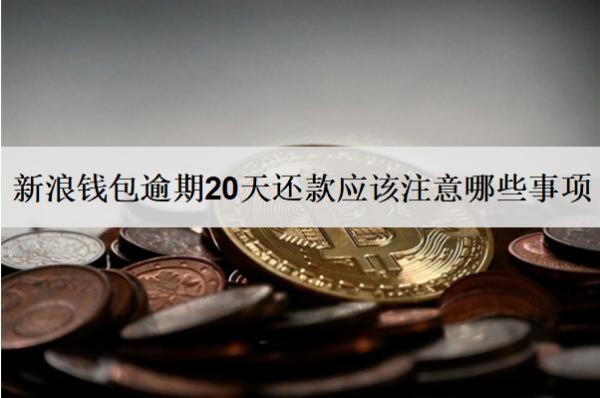 新浪錢包逾期20天還款應(yīng)該注意哪些事項