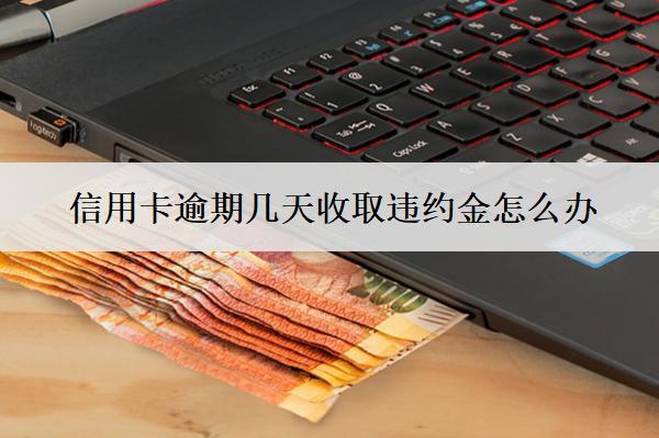 信用卡逾期幾天收取違約金怎么辦？