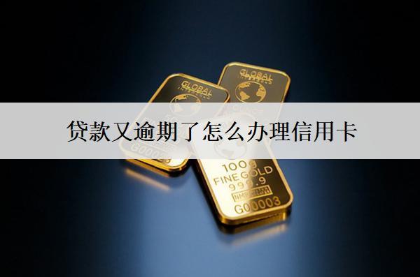 貸款又逾期了怎么辦理信用卡？被拒怎么辦？
