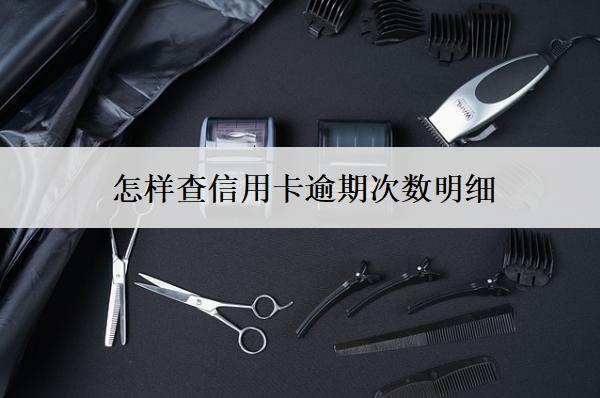 怎樣查信用卡逾期次數(shù)明細(xì)？查詢方式分享