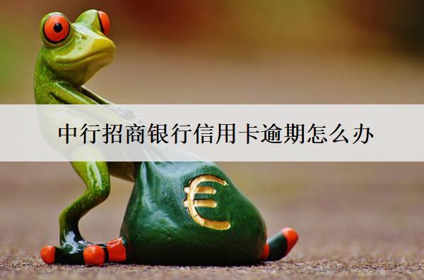 中行招商銀行信用卡逾期怎么辦？會(huì)怎么樣？