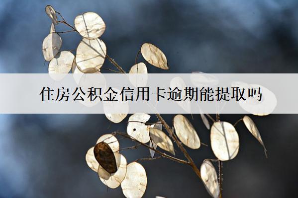 住房公積金信用卡逾期能提取嗎？