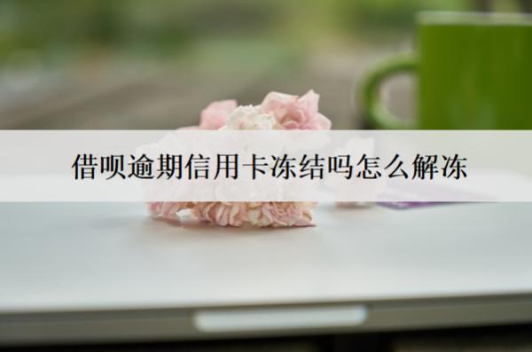 借唄逾期信用卡凍結(jié)嗎怎么解凍？