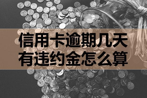信用卡逾期幾天有違約金怎么算？怎么辦？