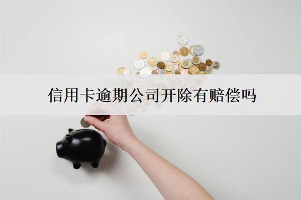 信用卡逾期公司開除有賠償嗎？怎么辦？