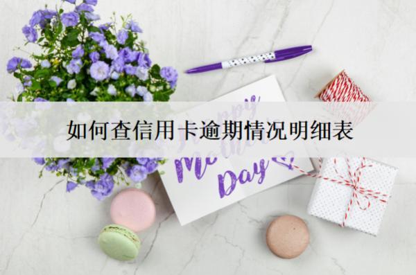 如何查信用卡逾期情況明細(xì)表？通過(guò)這4個(gè)渠道查